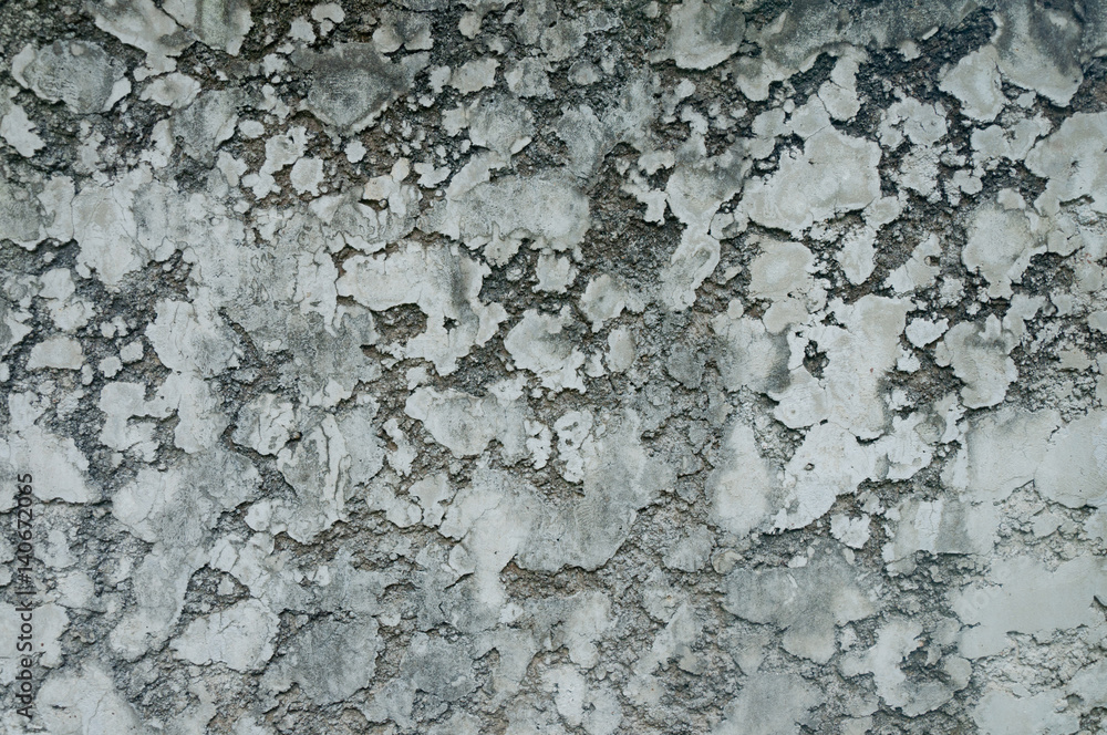Fototapeta premium Grunge cement wall texture for background