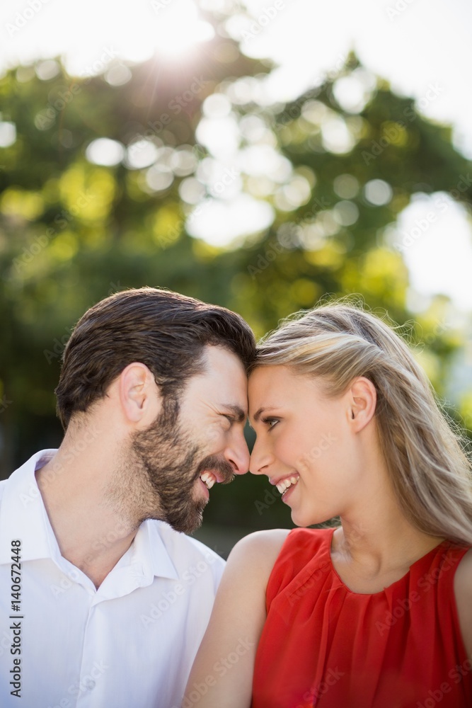 Fototapeta premium Couple face to face in park on a sunny day
