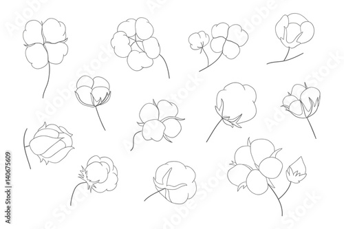 Vector set of hand draw ink cotton plant. Cotton icons illustration set. Can be used as logo, labels, stickers and emblems. Doodle branch of cotton. Sketch. 