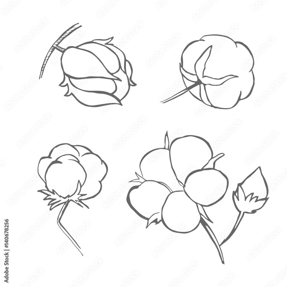 Vector set of hand draw ink cotton plant. Cotton icons illustration set. Can be used as logo, labels, stickers and emblems. Doodle branch of cotton. Sketch. Vector set of hand draw ink cotton plant. Cotton icons illustration set. Can be used as logo, labels, stickers and emblems. Doodle branch of cotton. Sketch.