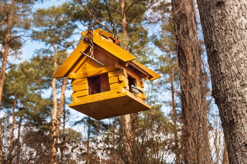 Birdhouse in the woods. Food for small birds.
