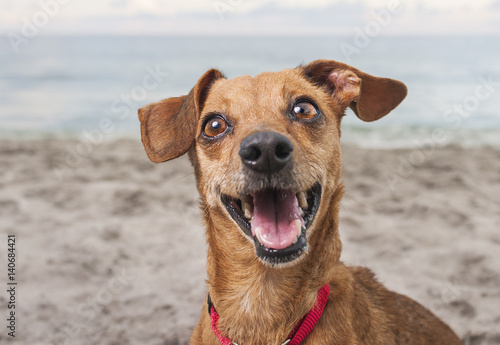 Happy Chi