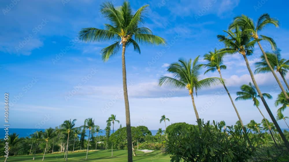 Time Lapse - Beautiful Clouds Moving over Plam Trees in Golf Course Time Lapse - Beautiful Clouds Moving over Plam Trees in Golf Course