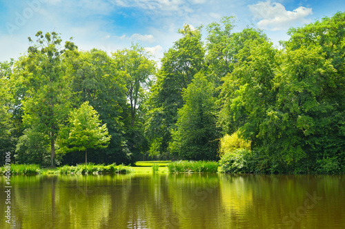 picturesque lake, summer forest on the banks and sky