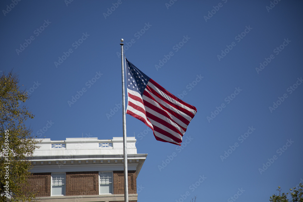 Fototapeta premium US Flag