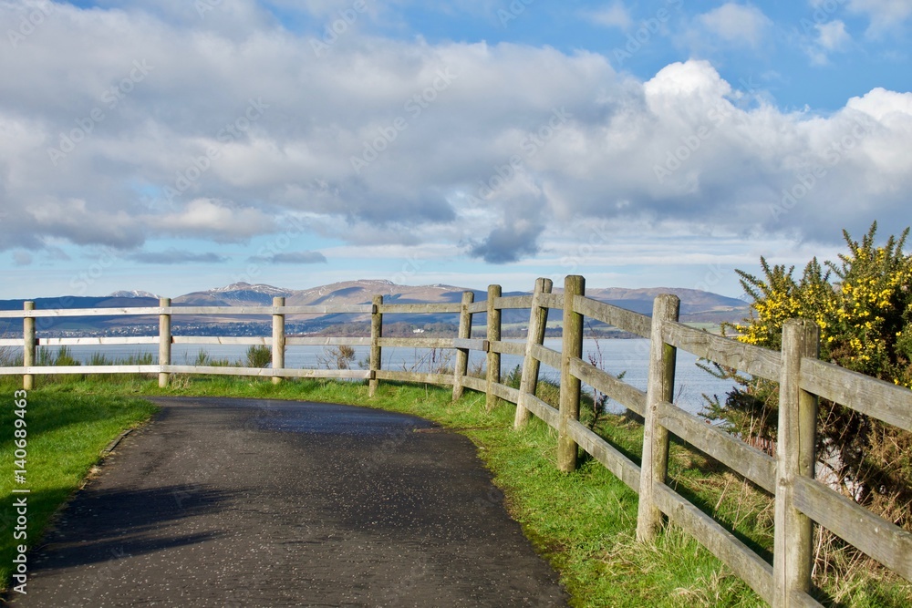 Wooden fence and yellow gorse on coastal path Wooden fence and yellow gorse on coastal path