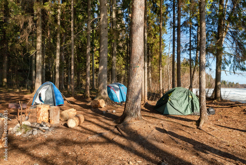 Tourist camp with tents in a pine forest near the lake in early spring