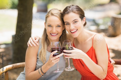 Happy friends toasting wine glasses © WavebreakMediaMicro