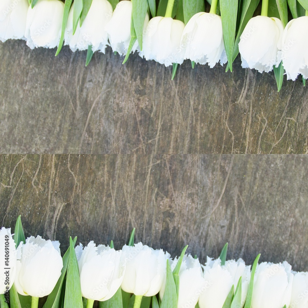 bouquet de tulipes blanches sur fond planche en bois,arrière plan rustique  Stock Photo | Adobe Stock