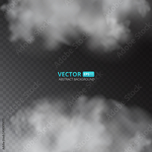 Grey color fog or smoke isolated on transparent background. Vector illustration for your design.