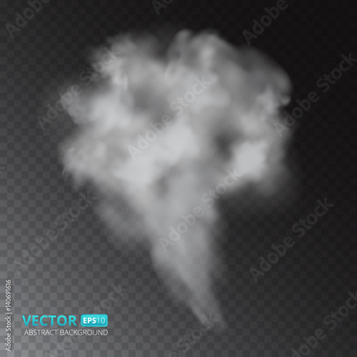 Colorful fog or smoke isolated on transparent background. Vector illustration for your design.