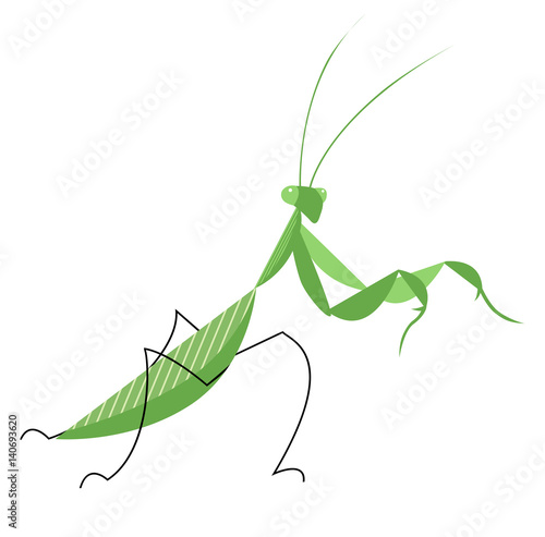 Mantis in an attacking pose