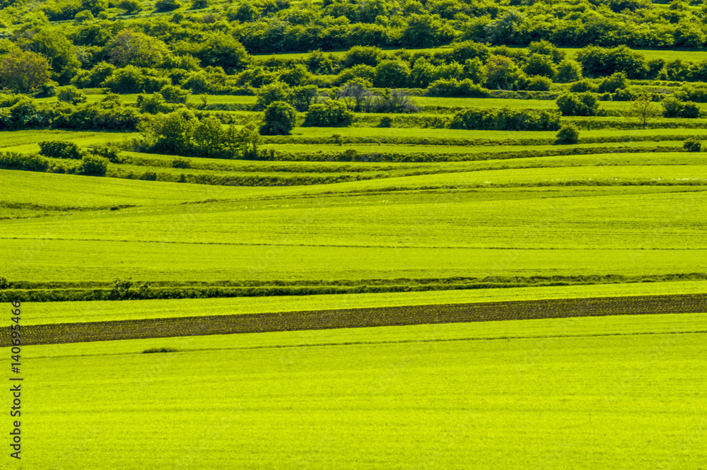 Obraz premium Hügellandschaft, Österreich, Niederösterreich, Weinviertel, M