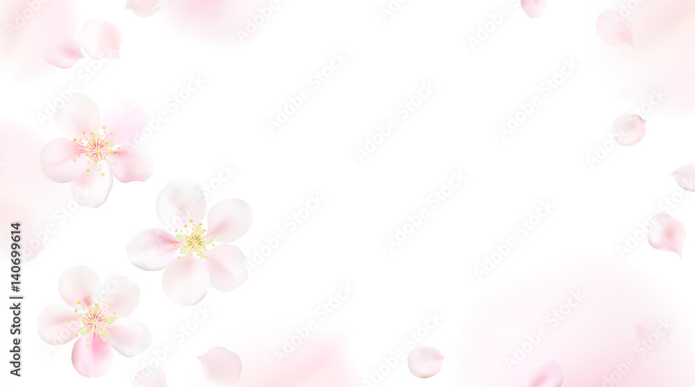 Blurred pastel background with flower petals.