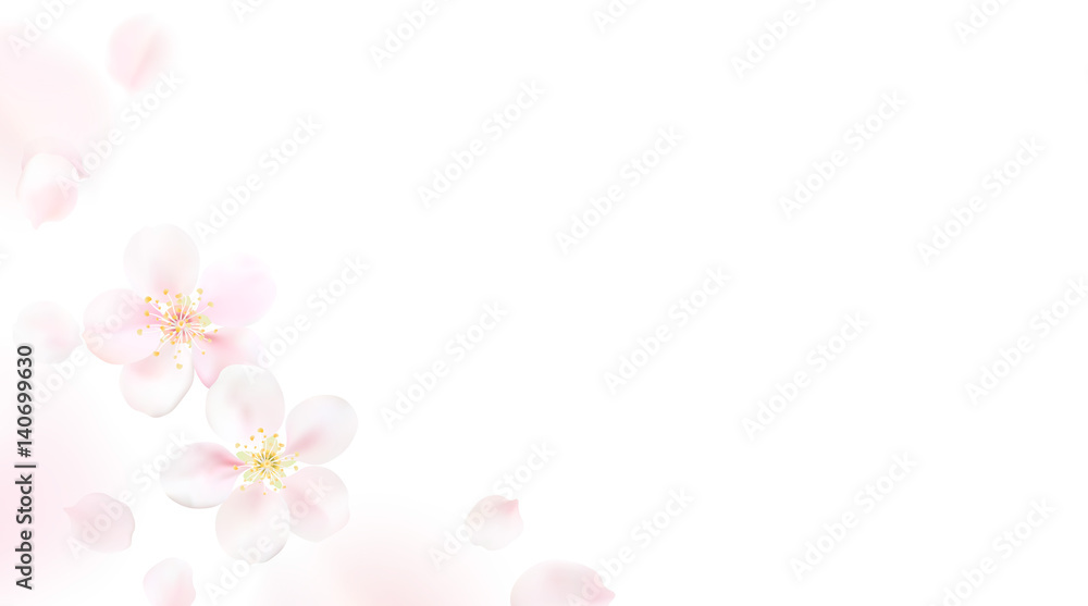 Blurred pastel background with flower petals. Blurred pastel background with flower petals.