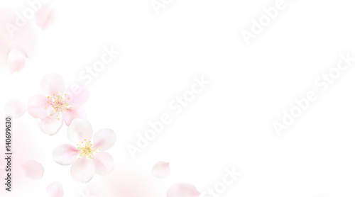 Blurred pastel background with flower petals. © Premium_art