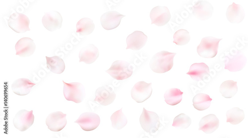 Blurred pastel background with flower petals.