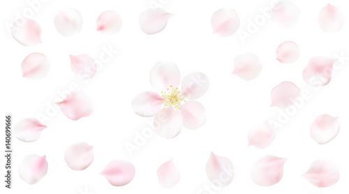 Fototapeta Naklejka Na Ścianę i Meble -  Blurred pastel background with flower petals.