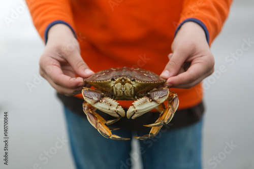Boy holding a crab along Oregon Coast