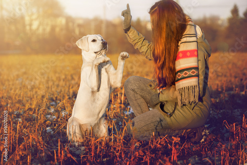 Junge Frau und Labrador Retriever Hund beim Training eines Kunststücks auf einem Feld photo