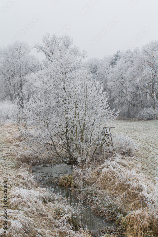 Fototapeta Winter landscape in Bavaria
