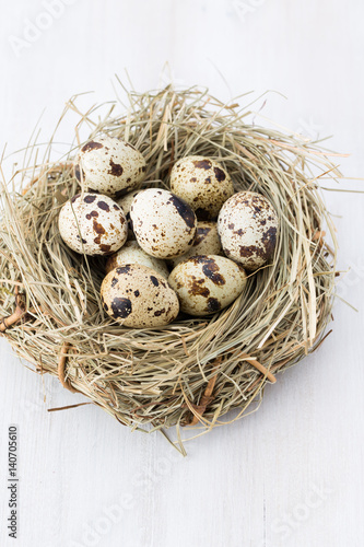Quail eggs of birds nest. Easter composition.
