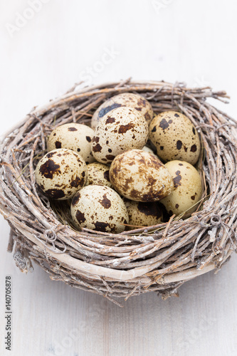 Quail eggs of birds nest. Easter composition.