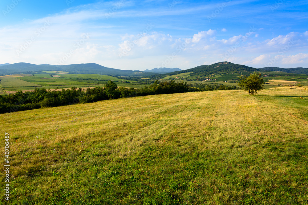 Green hills near Hercegkut, Sarospatak, Hungary