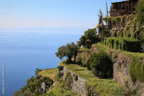 Wall Mural athos greece mounastery sea