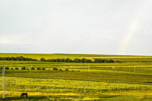 Schilderij op canvas Moldawien, Agrarlandschaft, Regenbogen, Nordmoldawien