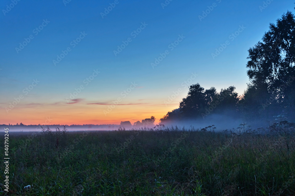 Foggy sunset in summer field