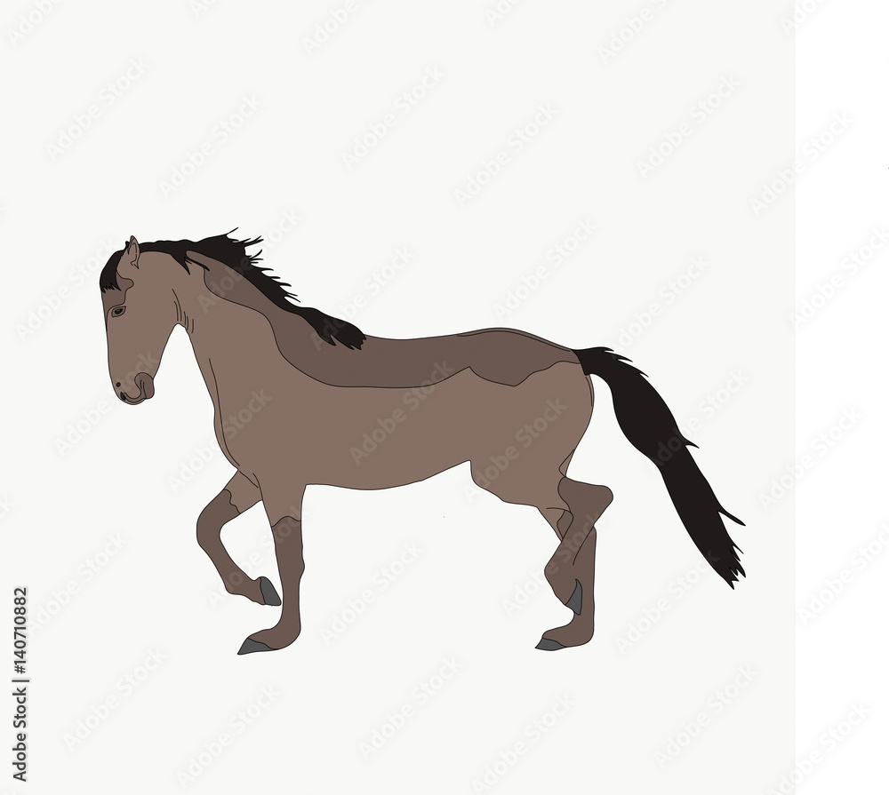 Portrait of a Namib Desert Wild Horse, hand drawn vector illustration isolated on white background