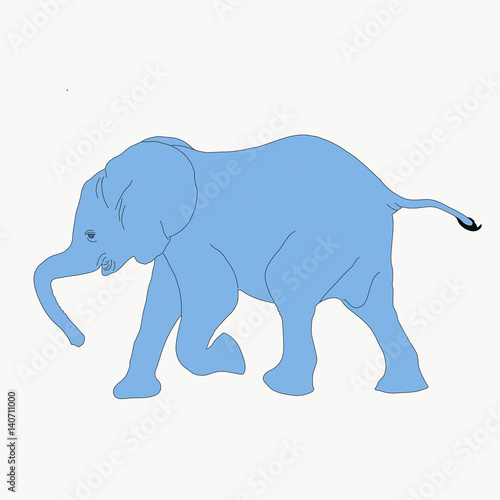 Portrait of an elephant in etosha national park  hand drawn vector illustration isolated on white background