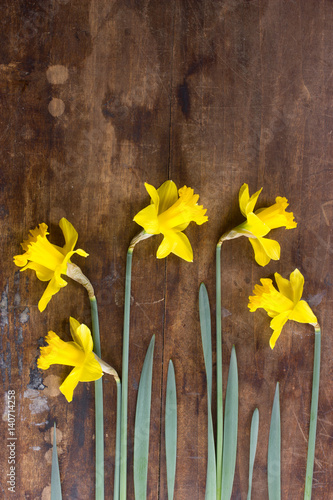 Fototapeta Naklejka Na Ścianę i Meble -  Daffodils, spring flowers on wooden background