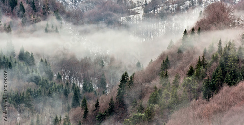 French Alps