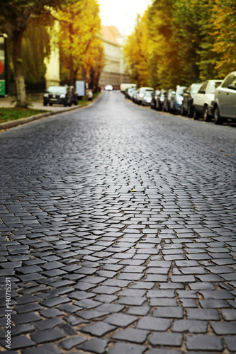 empty cobblestone road