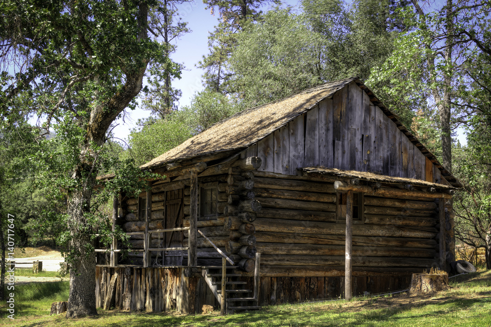 Rough Hewn Log Cabin in the Woods