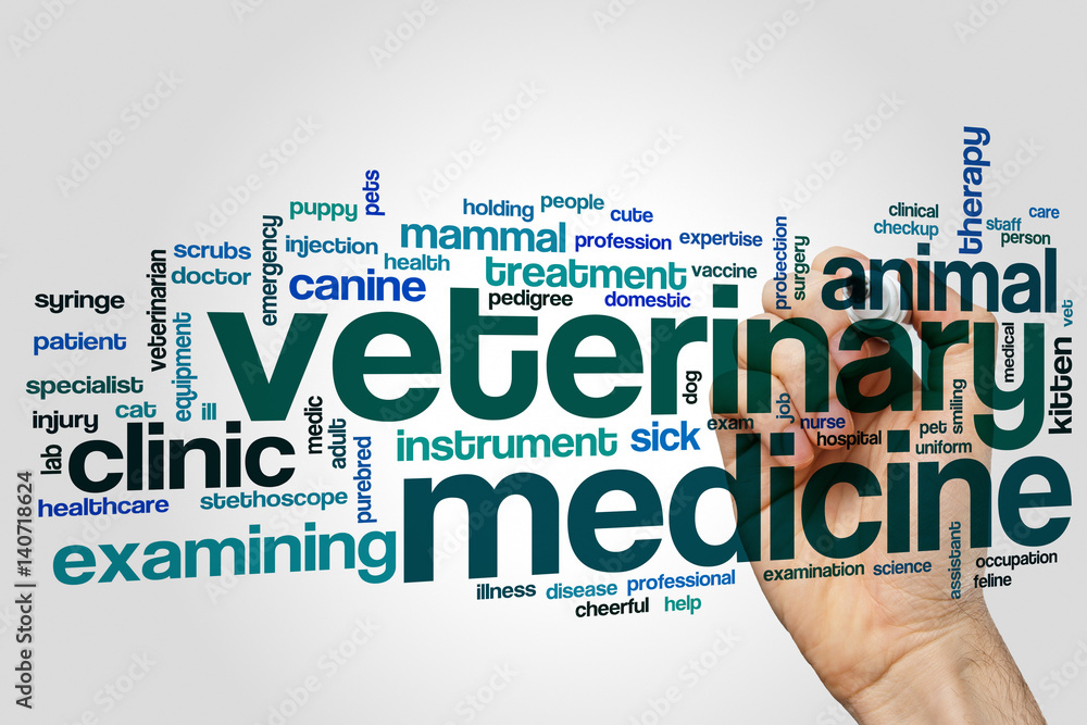 Veterinary medicine word cloud Veterinary medicine word cloud