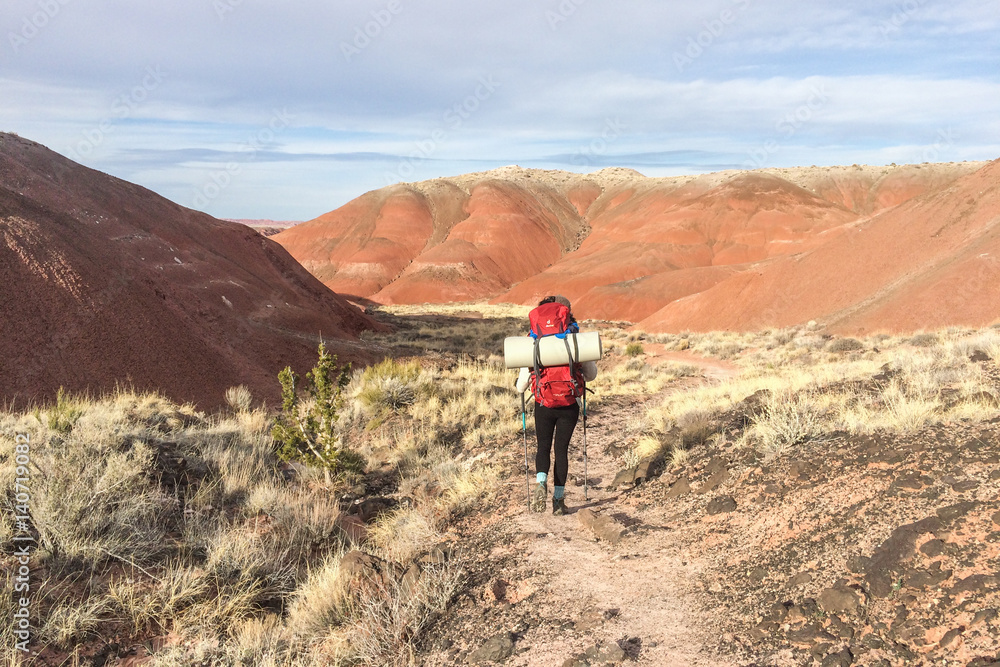 Hiker in Petrified Forest National Park, Arizona
