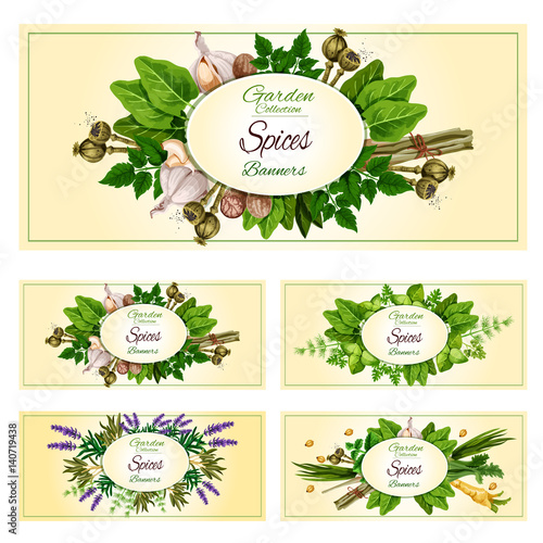 Fresh herbs, spices and condiments banner set