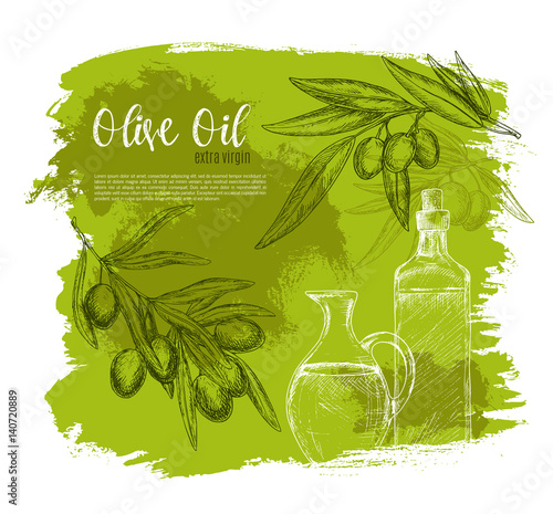 Olives and olive oil poster vector sketch