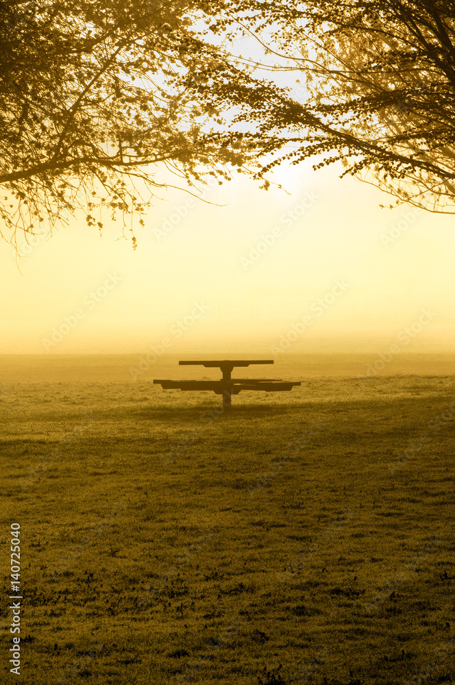 A single picnic table waits for summer activity in the early morning fog.
