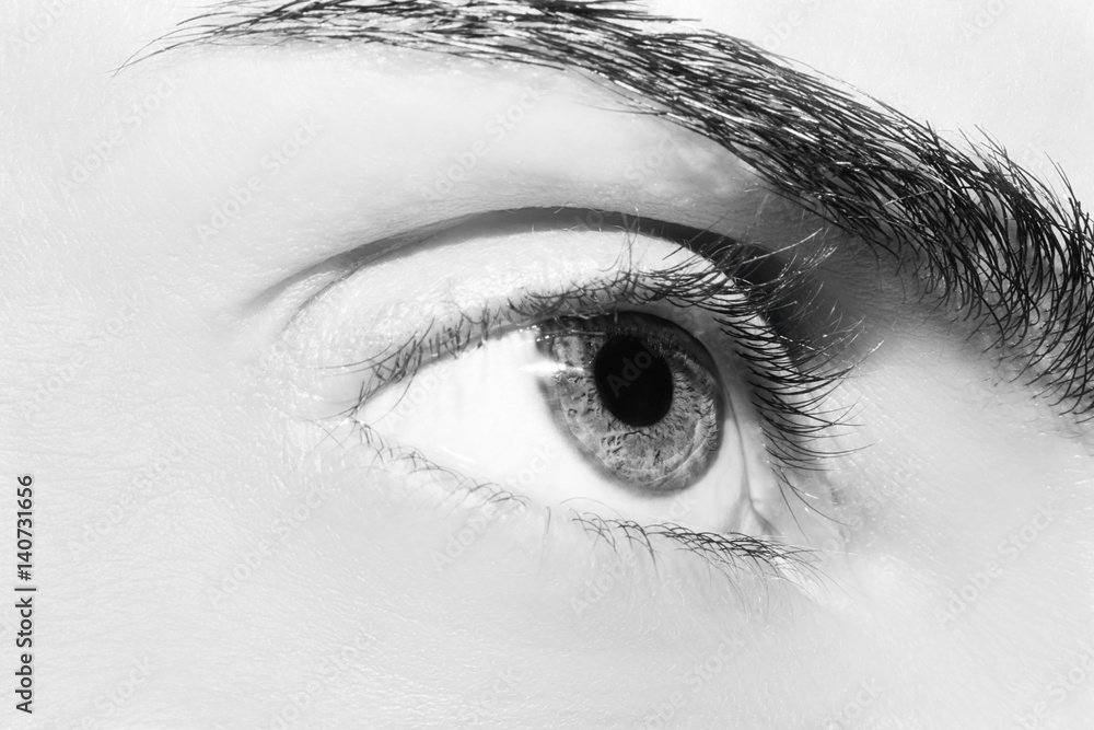 Fototapeta premium A beautiful insightful look woman's eye. Close up shot