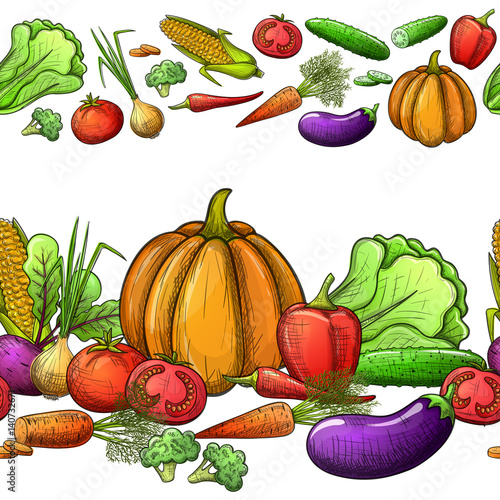 Colorful sketch style vegetables seamless horizontal borders. Eco organic fresh template with vegetables for the decoration of menu. Vector.