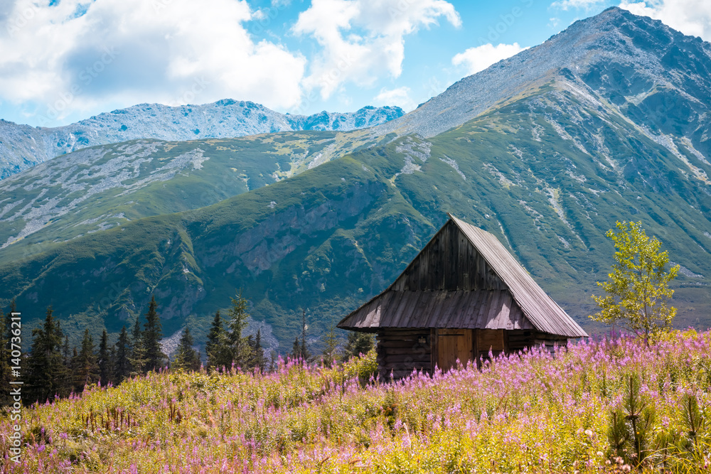 Obraz premium Hala Gasienicowa, Tatra mountains Zakopane Poland