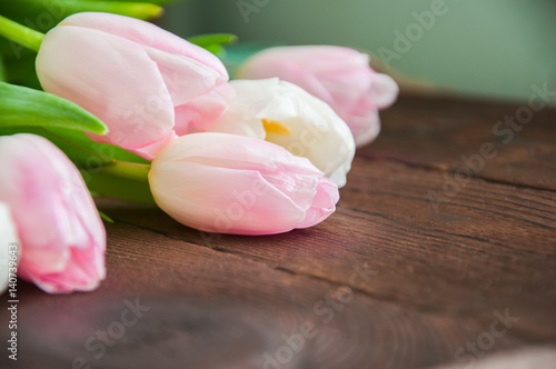 Rose-colored tulips on a wooden background. Copy Space and close up.