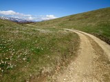 Path winding in blooming field