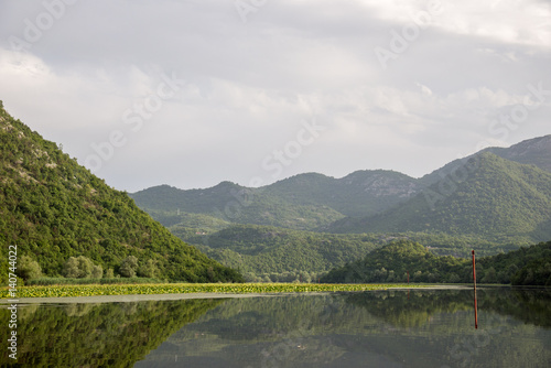 Quiet waters of Lake Skadar in Montenegro