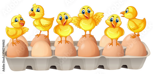Six chicks standing on eggs Fototapeta