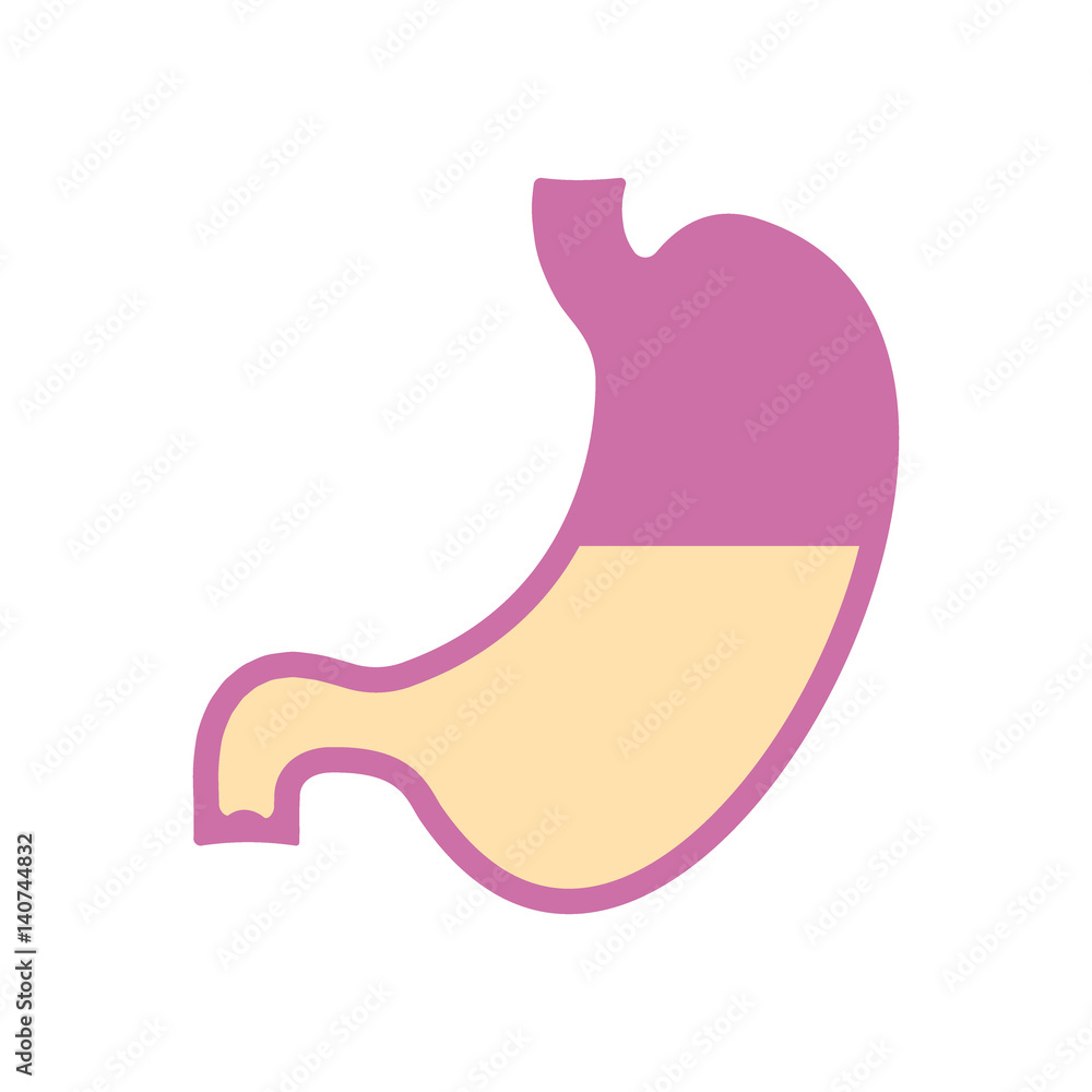 stomach icon. flat design stomach icon. flat design